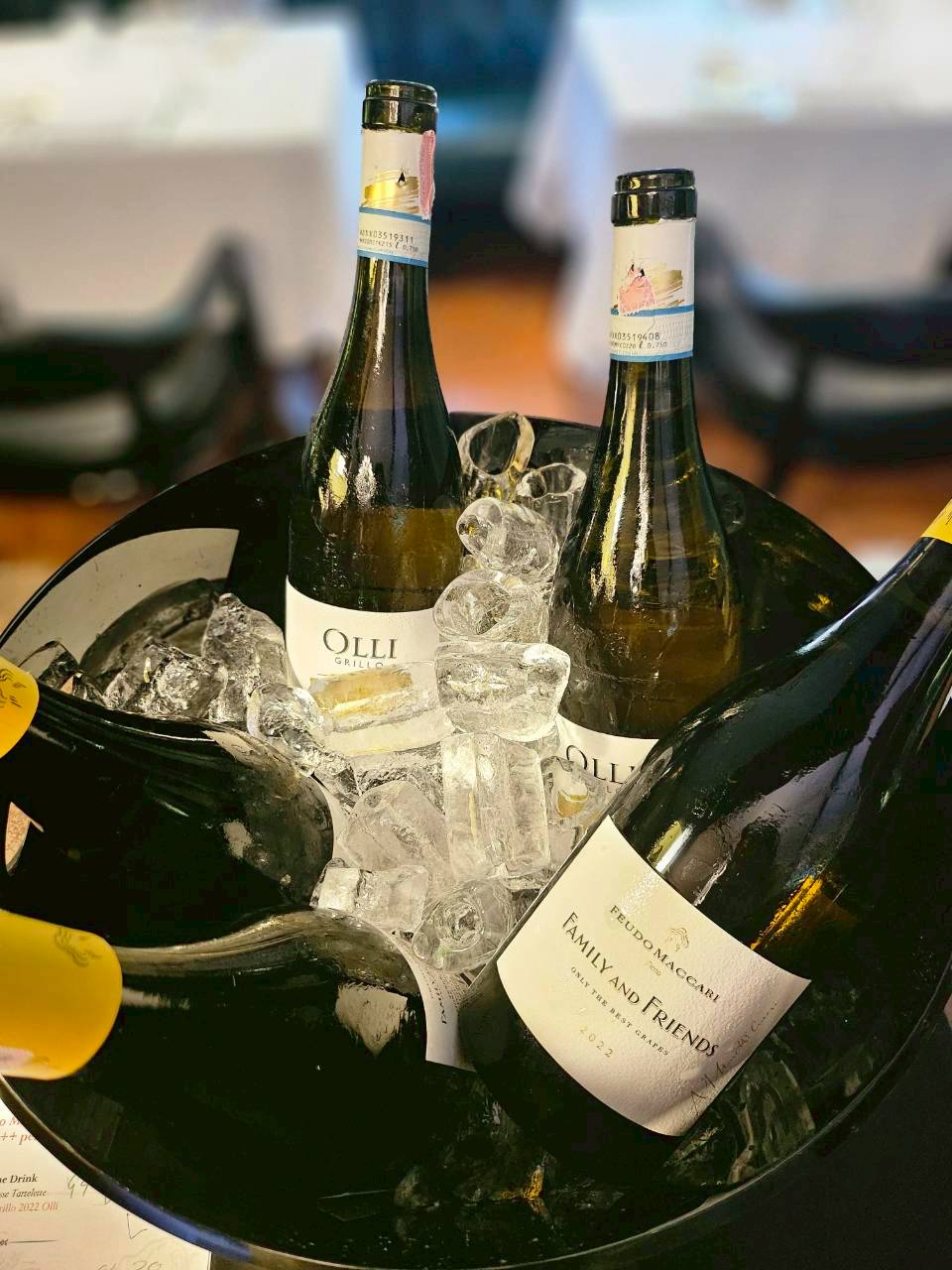 565357579_1407720021356797_4793428814836265543_n