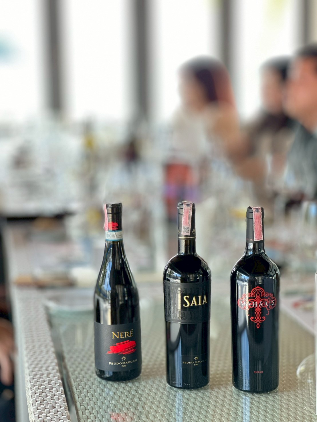 565740120_1410663327729133_6381818365279412388_n