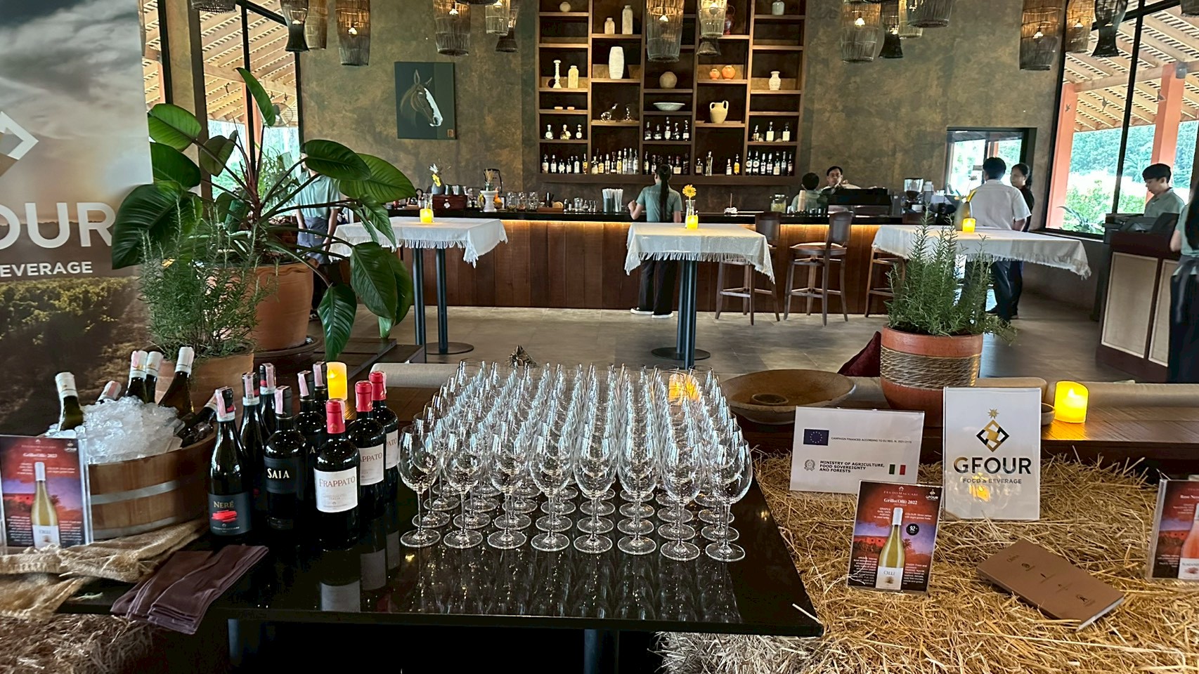 566228519_1411567027638763_1977028185444924998_n