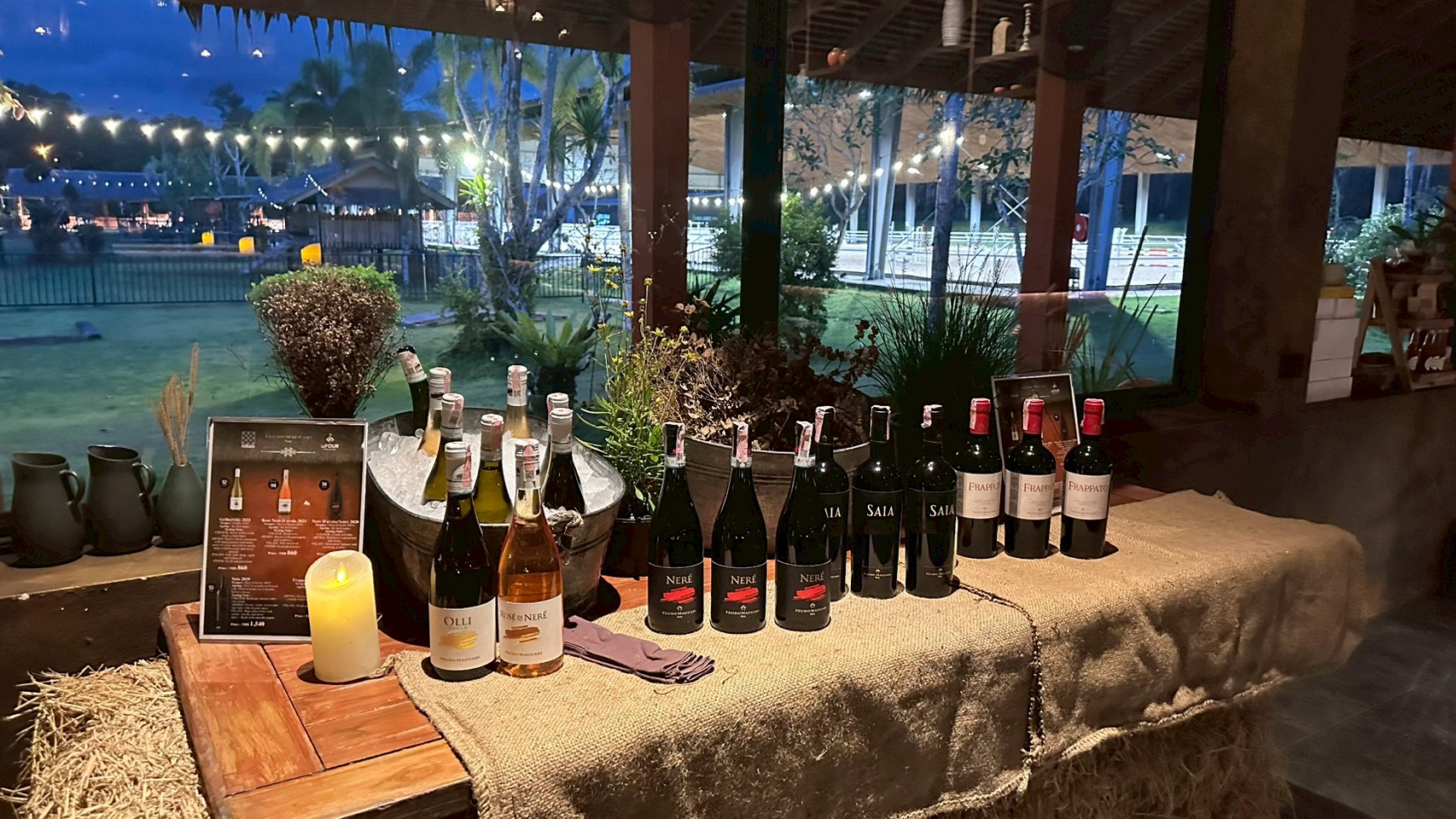 566238850_1411567964305336_78961737814235326_n