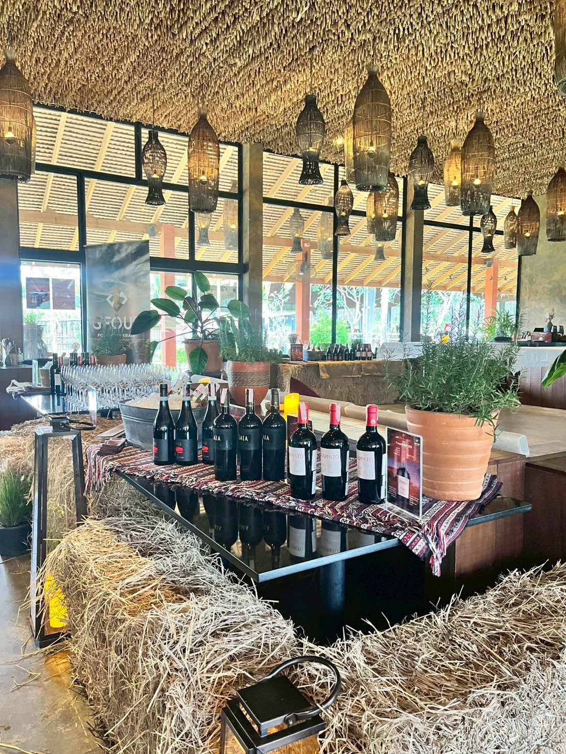 566321437_1411568200971979_3716962536900020241_n