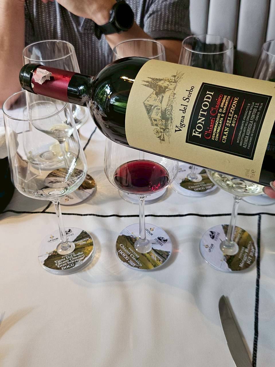 576311728_1426361019492697_7269515992349428122_n